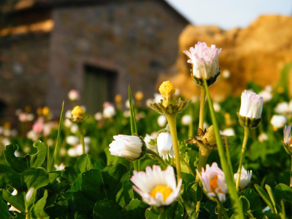 Montegonfoli Agroturismo