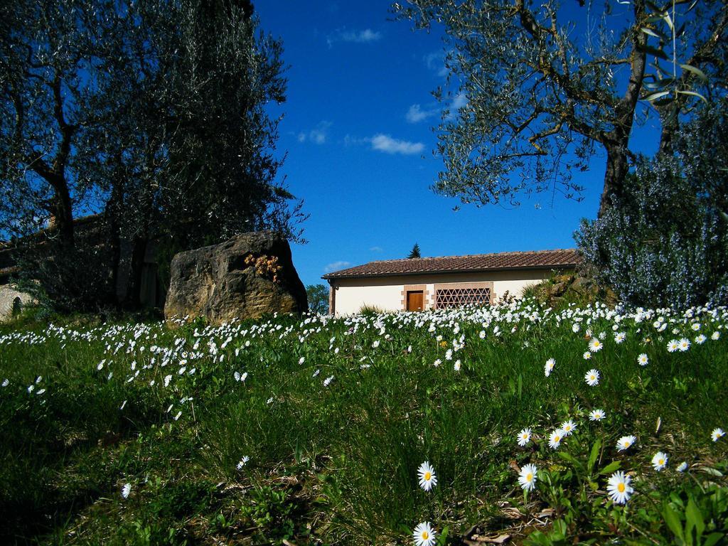 Montegonfoli *