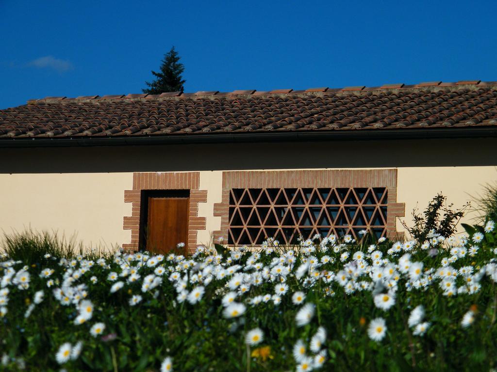 Montegonfoli Bauernhof